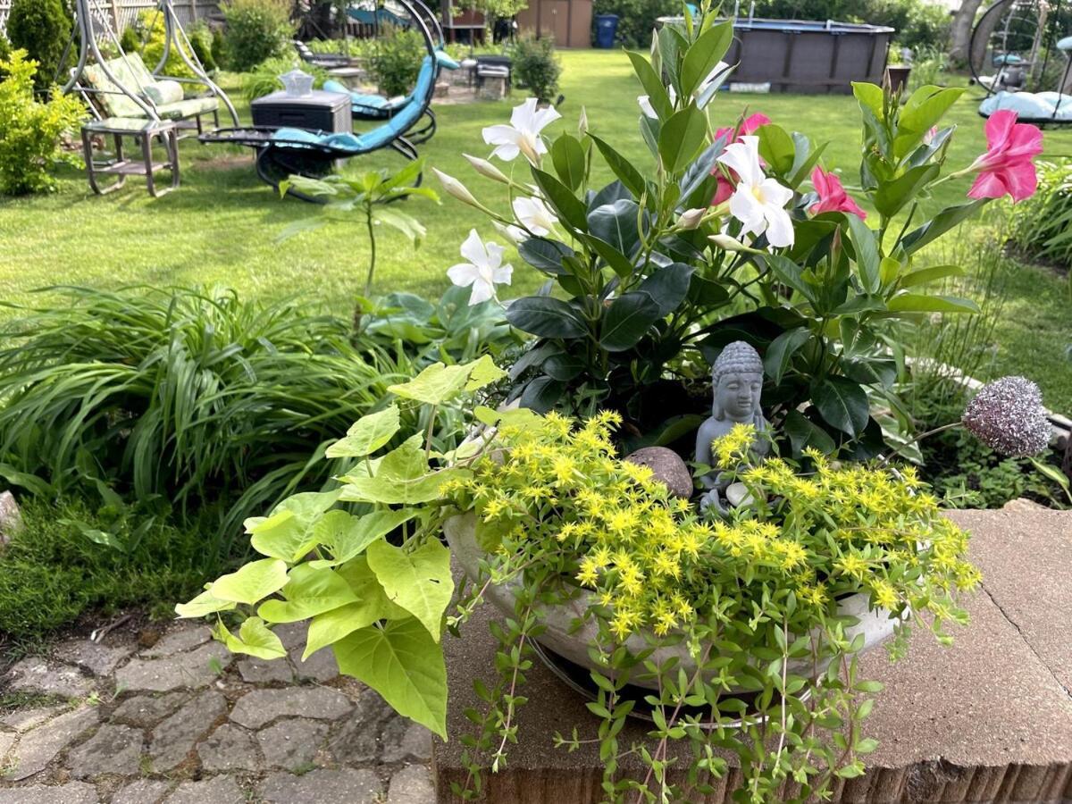 Schaumburg Paradise Oasis With A Secret Garden And Private Pool Exteriör bild